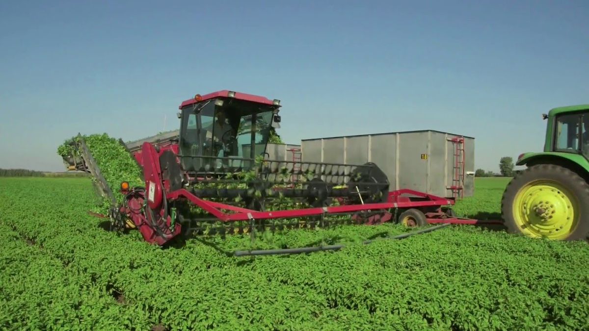 Farm Fresh Nutrtition