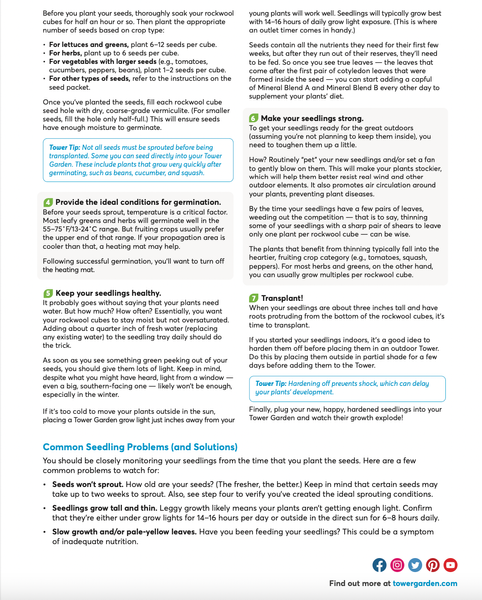 8- Healthy Seedlings Cont.