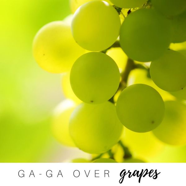 15895272_10155633979724428_1075883645303330233_n