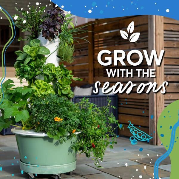 Grow with the Seasons