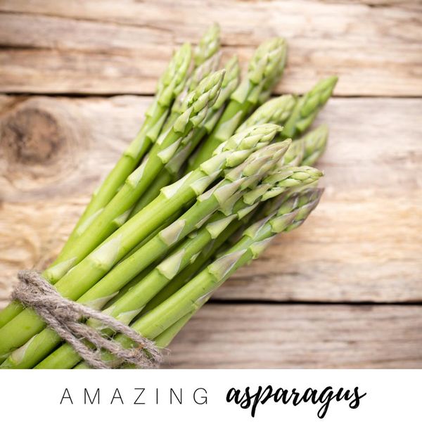 15965381_10155633979764428_1432093345689938085_n