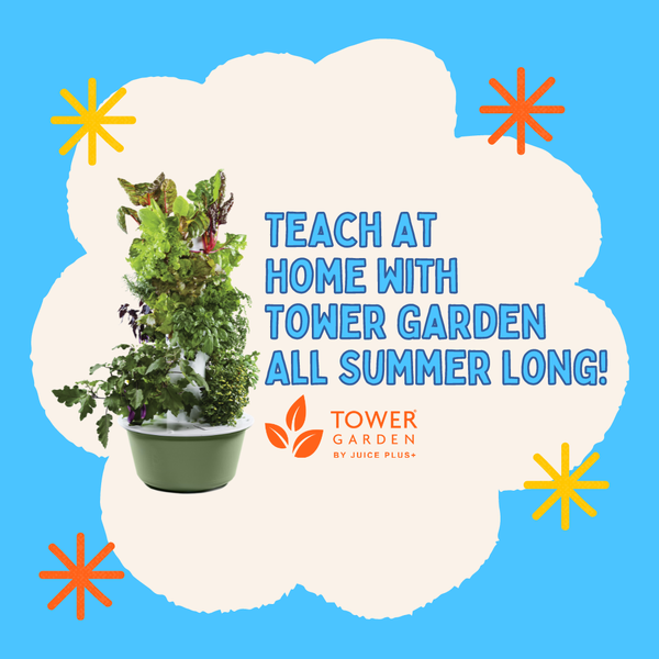 192957900_935731080331081_528389803255701744_n