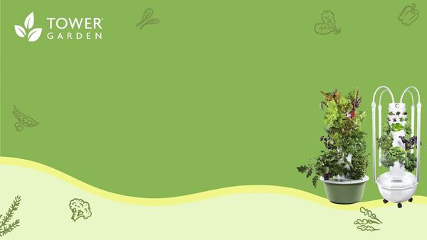 13588_TG Zoom Backgrounds 2-01