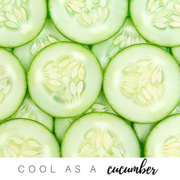 16105808_10155633979899428_4991243276142426291_n