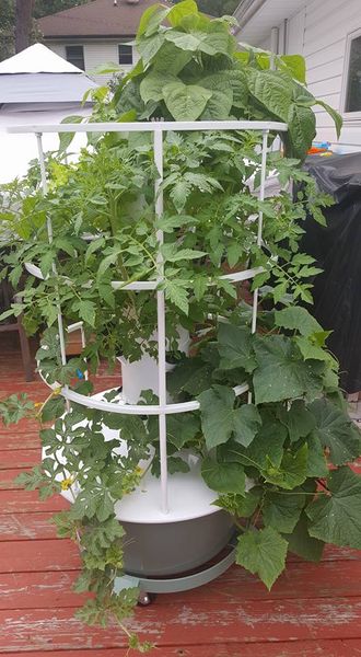 19601333_10207151084295680_1953517222778076239_n