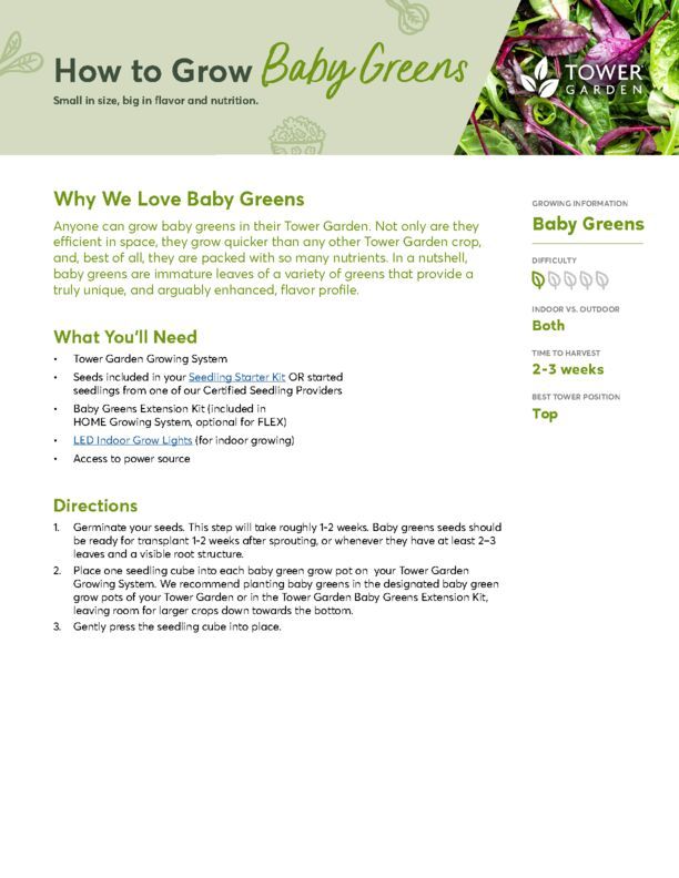 Baby Greens Plant Guide