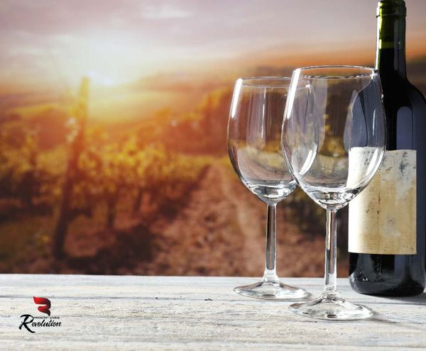 Wine-and-Wellness_BLANK_logo-02