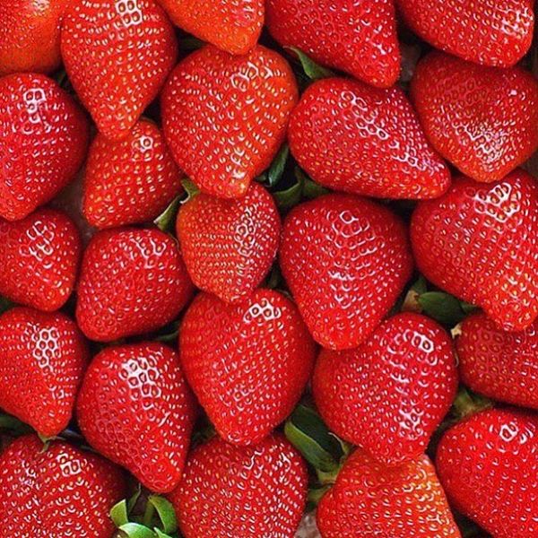 STRAWBERRIES