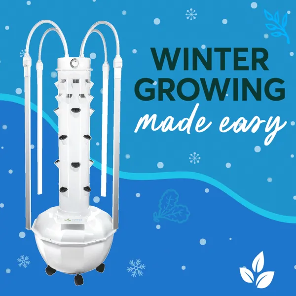 Winter Growing Made Easy