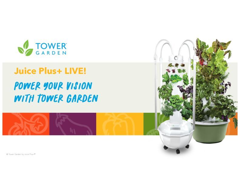 JP  LIVE TG Fall21 Presentation Partner Version Final