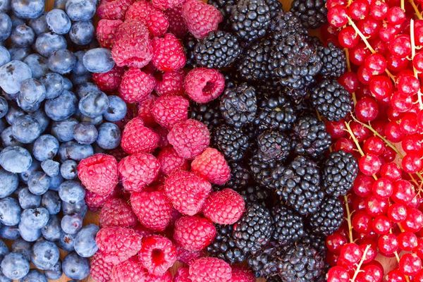 17308786_10155851101574428_2763114268268635217_n