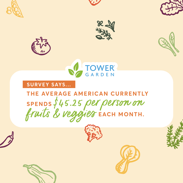 Research Stat Shareablesv2-03