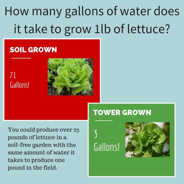 Traditional vs. Tower