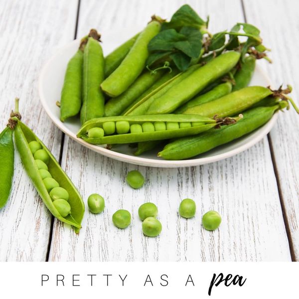 15940769_10155633979909428_3223967443610306056_n