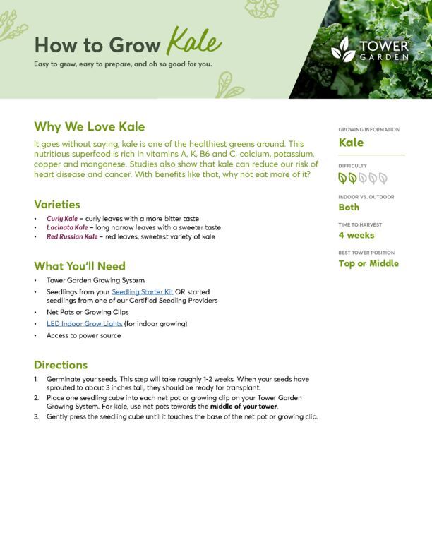 Kale Plant Guide (1)