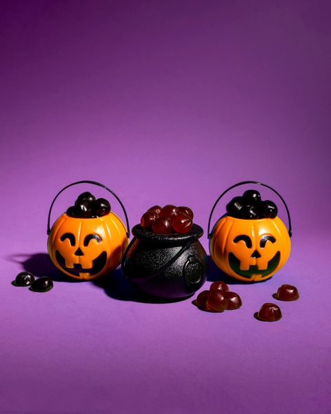 250480013_10165616376190099_2229132116940346670_n