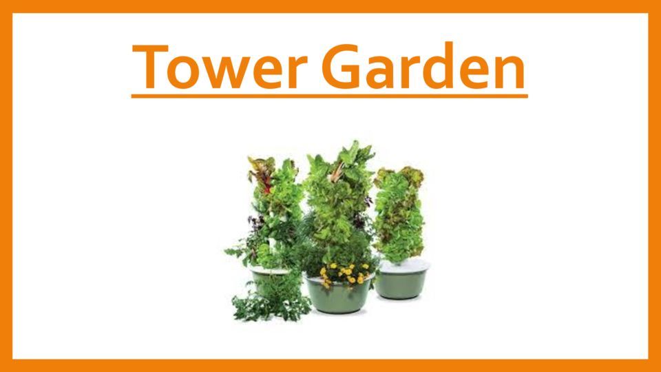 Tower Garden School Presentation