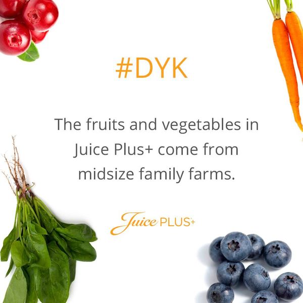 16830861_10158186327025099_8851676401900241546_n