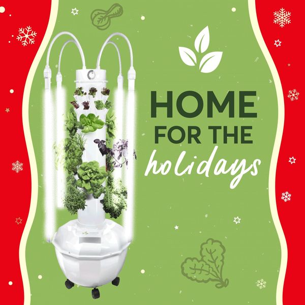 Home for the Holidays