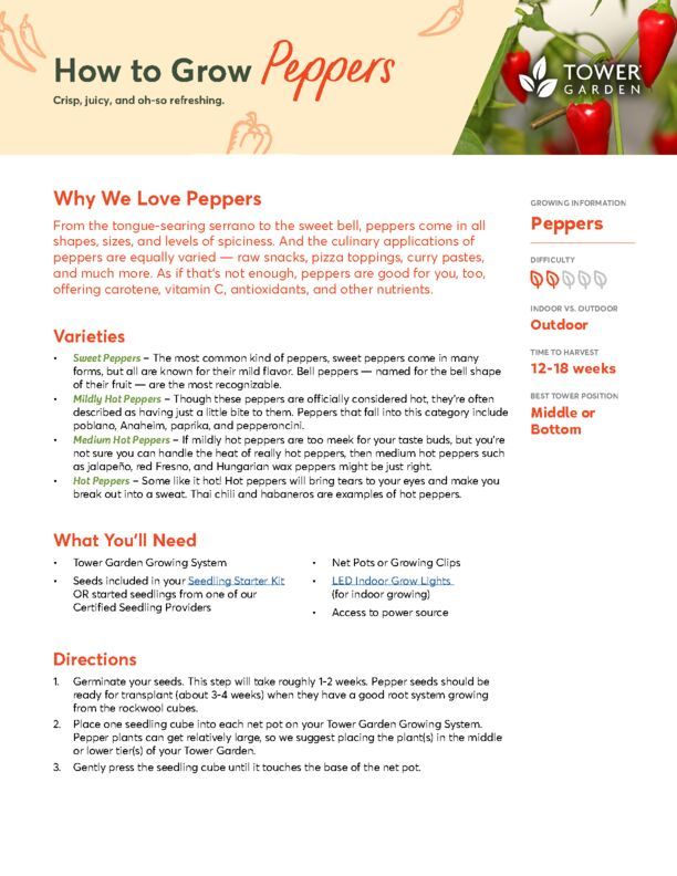 Peppers Plant Guide