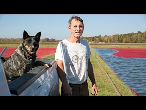 Farm Fresh: The Cranberry Journey (English / Short Version)
