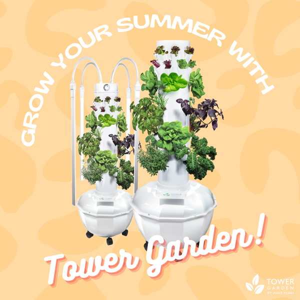 193002303_935731140331075_8628615020561381802_n