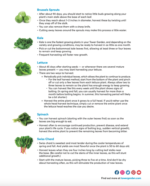 15- Harvesting Greens Cont.