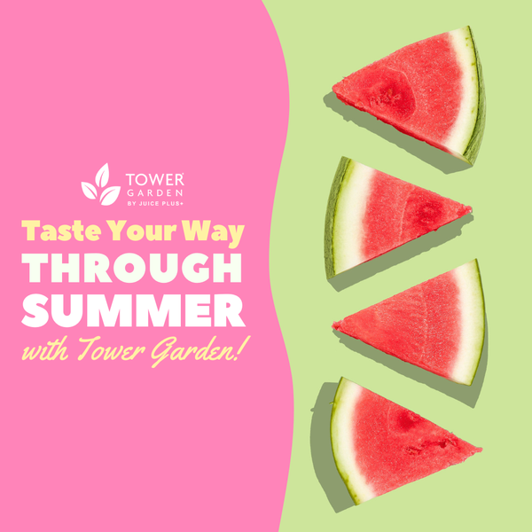 191613587_935731116997744_6790044859333902054_n