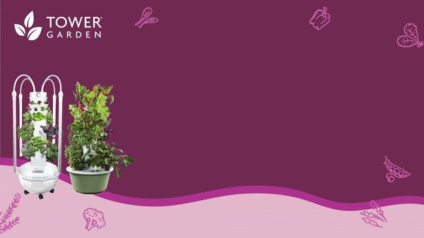 13588_TG Zoom Backgrounds 2-03