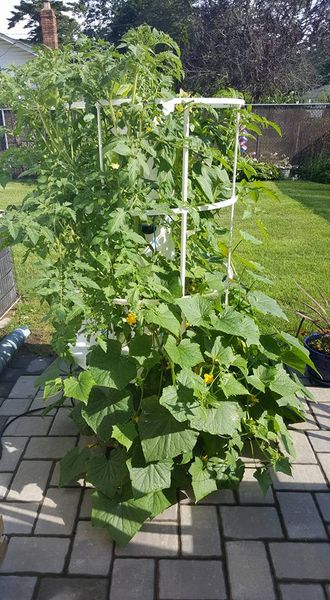 20770317_10207436001298427_482364175609094130_n