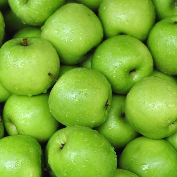 17156026_10155851096604428_6759203615225557066_n