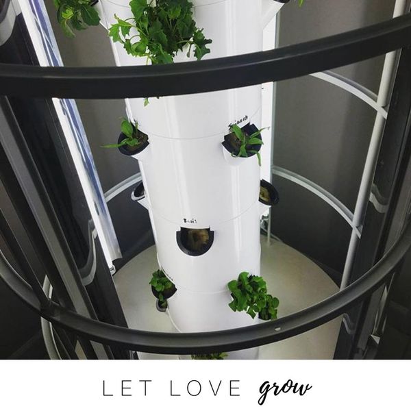 15966169_10155634340369428_4339246433948005007_n