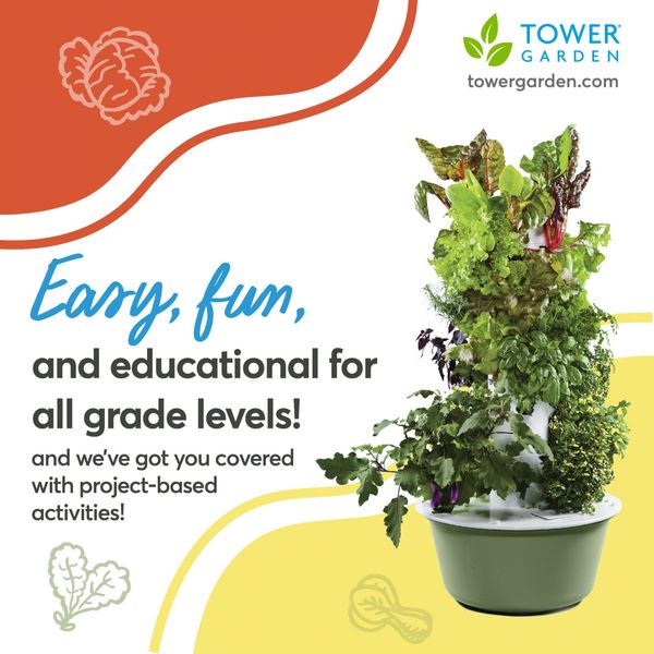 240493955_988094335094755_8607570892674367837_n