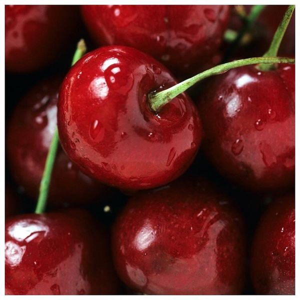 17264363_10155851100984428_1188035222832574171_n