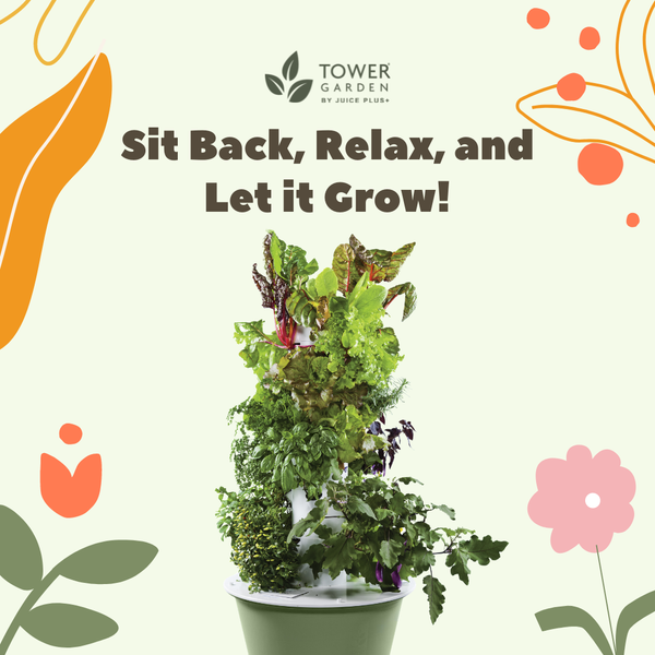 192744375_935731106997745_8231449362794241698_n