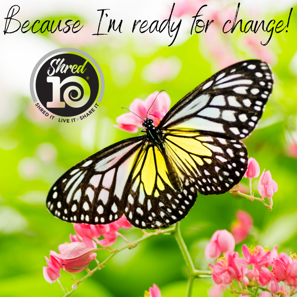 Shred10 YES Images (1)