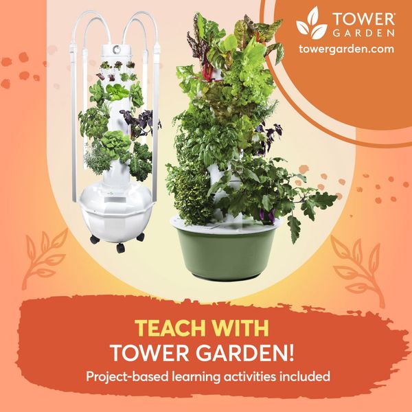 240721267_988094385094750_8755647019617437070_n