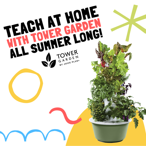 193283342_935731123664410_9174182130952394250_n