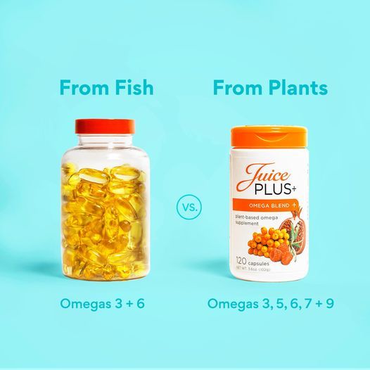 119860296_10164006121270099_2039457829799757072_o