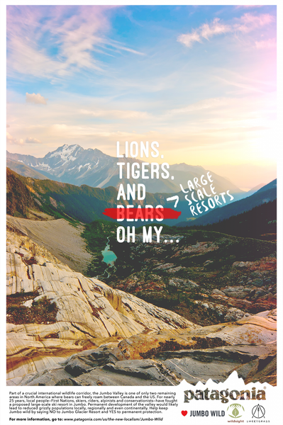 patagonia ads - Google Search