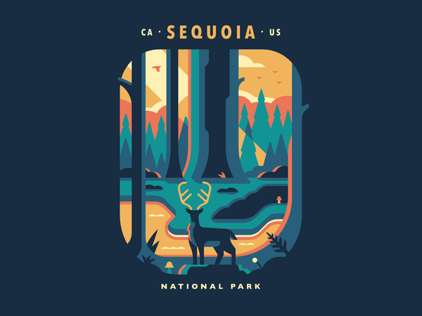 Sequoia National Park by Matt Anderson for Canopy on Dribbble
