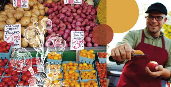 Image result for farmers market branding