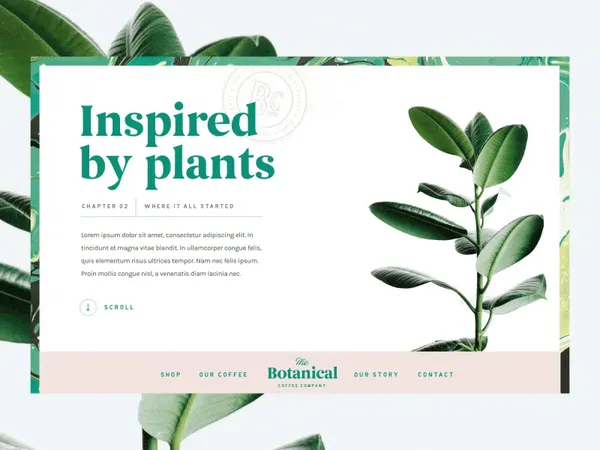 Botanical Coffee Co Interaction branding coffee interface website animation after effects interacti…