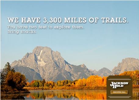Image result for national park print campaigns