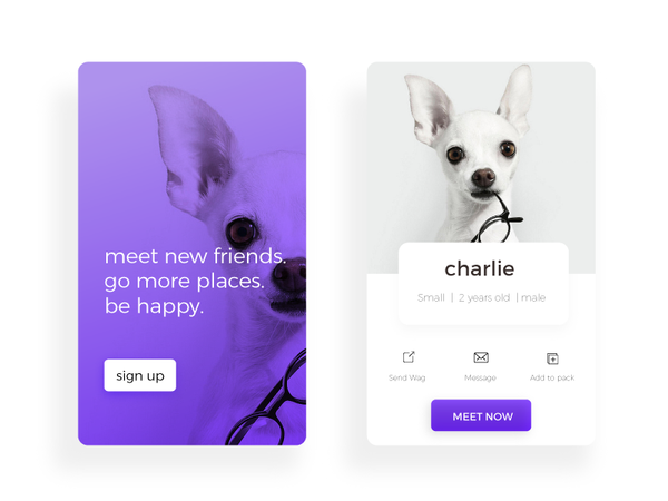 Pet Profile animals dog signup clean design minimal profile ui pet