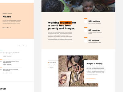 Alliance2015: A Strategic network of NonGovernment Organizations non-profit no-profit non governmen…