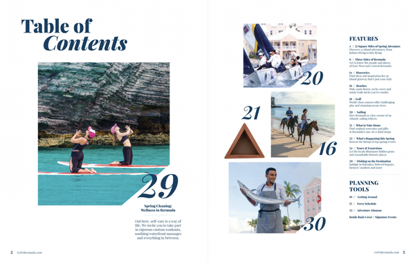 Screen Shot 2019-04-22 at 10.09.00 AM