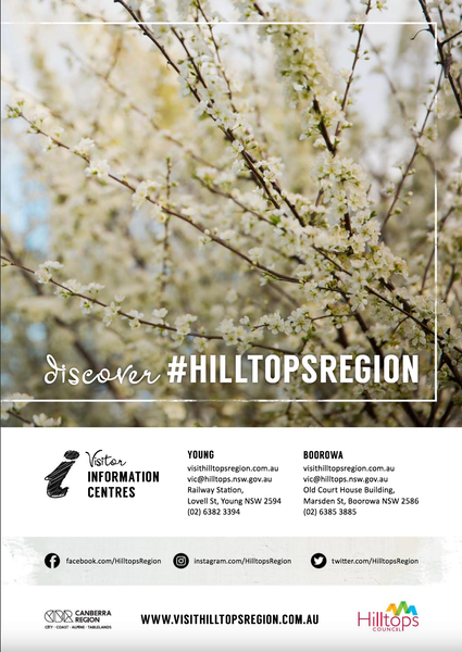 Screen Shot 2018-03-15 at 2.25.56 PM