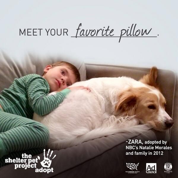 719e156ae51dc31c1894c33bdc242213