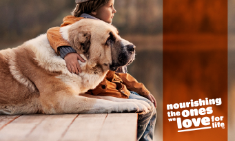 PetCampaignNewsfeed1